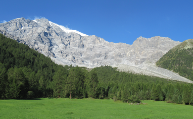 Berge, Wiese, Wald   | © (c) Barbara Hausberger 