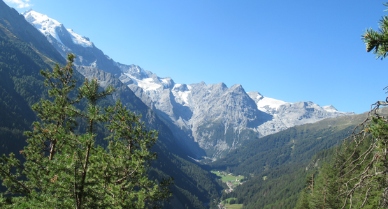 Wald, Bäume, Gletscher, Dorf | © (c) Barbara Hausberger