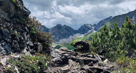 Hochberge, Schnee, Steine, Blumen | © (c) Bettina Lungkofler