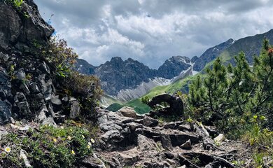 Hochberge, Schnee, Steine, Blumen | © (c) Bettina Lungkofler