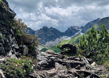 Hochberge, Schnee, Steine, Blumen | © (c) Bettina Lungkofler
