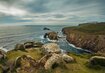 Felsen, Strand, Blumen, Meer | © Land's End (C) Pixabay