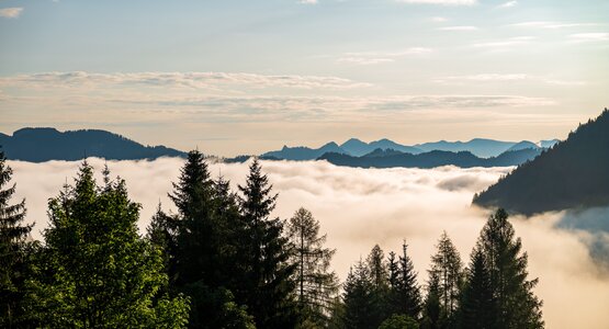 Berge, Wolken, Himmel, Bäume | © (c) pixabay