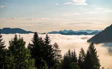 Berge, Wolken, Himmel, Bäume | © (c) pixabay