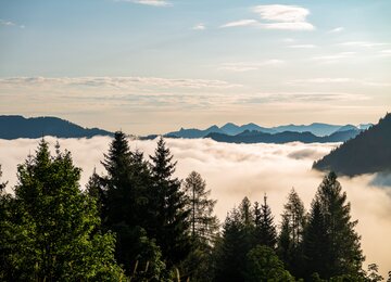 Berge, Wolken, Himmel, Bäume | © (c) pixabay