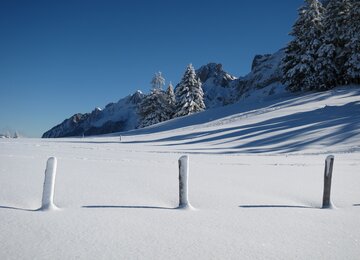 Schnee , Wanderung , Allgäu | © Claus Gogl