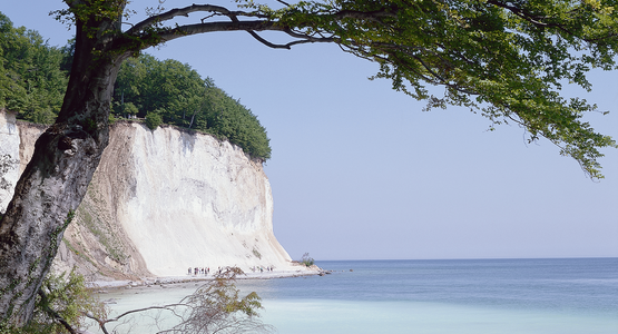 Strand, Meer , Urlaub | © (c) Deutsche Zentrale für Tourismus e.V_Rügen_Kreidefelsen 
