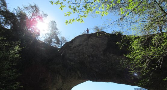 natur,baum,wandern | ©  Barbara Hausberger