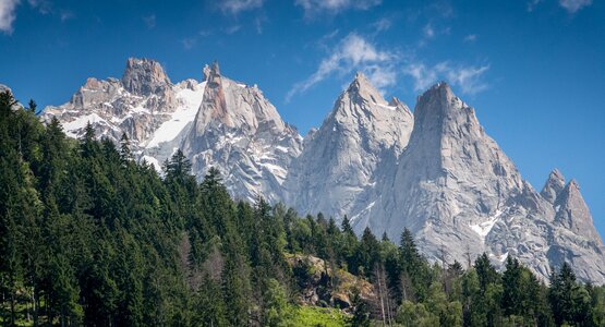 Berge, Natur , Wald | ©  websiteproud auf Pixabay