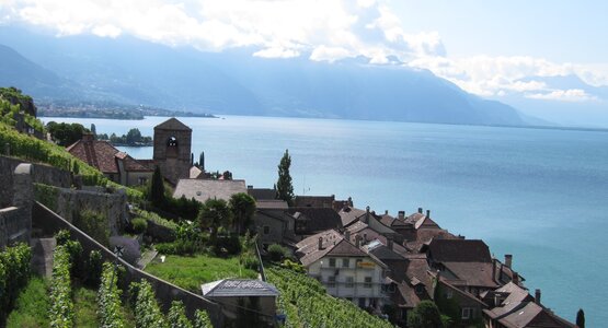 Genfer See Lavaux Schweiz | © Gitti Grüner