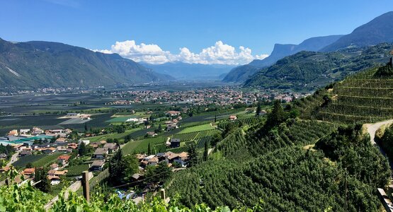 Weinberge,Südtirol,Blauer Himmel | © Meran Südtirol (C) AlbiF auf Pixabay