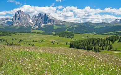 Seiser Alm Italien Dolomiten Berge 3 Zinne drei Zinnern Tagesfahrt | © pixabay