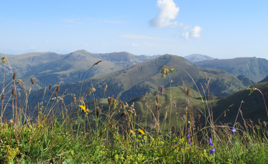 Nockberge Berge Wandern Österreich Kärnten | © Barbara Hausberger
