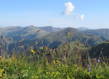 Nockberge Berge Wandern Österreich Kärnten | © Barbara Hausberger