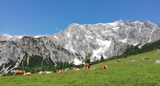 Dachstein Wandern Berge Österreich | © Barbara Hausberger