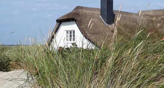 Ostsee Meer Wattenmeer Ebbe Flut Ahrenshoop Haus  | © Karin Ploner