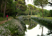 Pineta Milano Marittima | © selecthotels Pinienwald Milano Marittima Spazieren Italien Emilia Romagna | © selecthotels