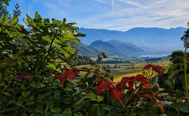 Kalterer See Italien Südtirol | © Pixabay