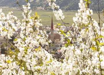 Wandern Meran Italien Südtirol Trentino Apfel Apfelblüte  | © Vinschgau Marketing_Frieder Blickle
