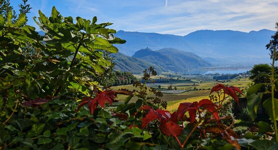 Kalterer See Italien Südtirol | © Pixabay